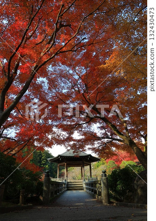 改變葉子的Momiji 132430473