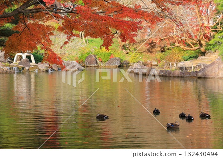 改變葉子的Momiji 132430494