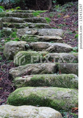 比叡山延歷寺院內的石階 比叡山延歷寺院內的石階 132431297