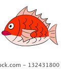 鯛魚圖 132431800