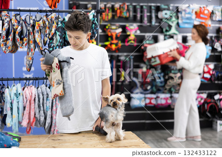 Teenage boy chooses clothes for Yorkshire terrier in pet store 132433122