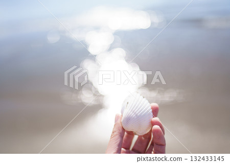 White seashell falling on the beach White seashell falling on the beach 132433145