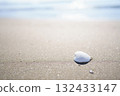 White seashell falling on the beach 132433147