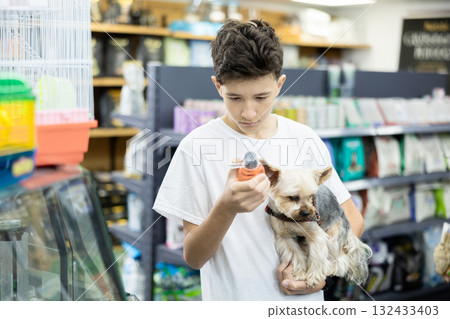 Teenager selecting vitamins for Yorkshire terrier in pet store Teenager selecting vitamins for Yorkshire terrier in pet store 132433403