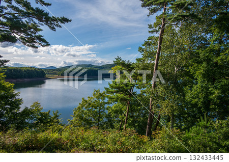 Lake Iwato landscape: Lakeside forest 132433445