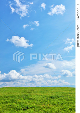 北海道夏日藍天與清新綠草甸風光 北海道夏日藍天與清新綠草甸風光 132433495