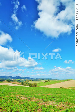 Hokkaido Autumn blue sky and Biei scenery 132433501