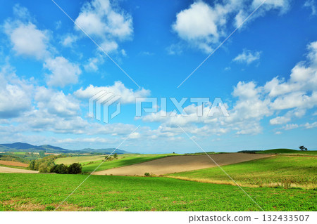Hokkaido Autumn blue sky and Biei scenery Hokkaido Autumn blue sky and Biei scenery 132433507