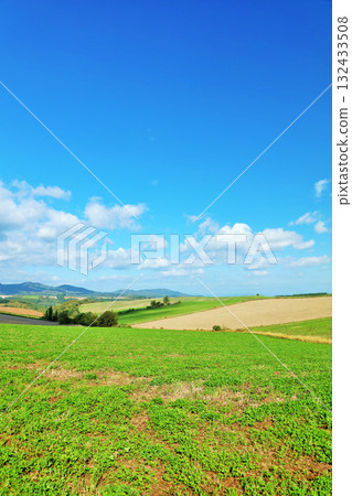 Hokkaido Autumn blue sky and Biei scenery Hokkaido Autumn blue sky and Biei scenery 132433508
