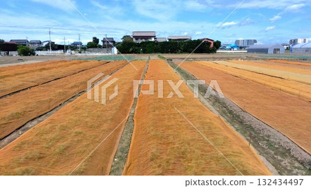 Autumn landscape of a suburban komatsuna field covered with a sheet 132434497