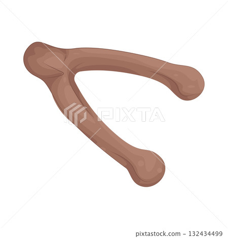 Illustration of wishbone  132434499