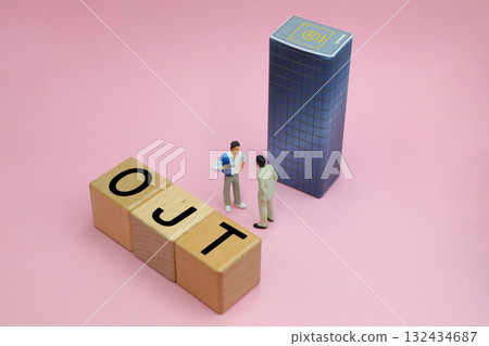 OJT: On-the-job training 132434687