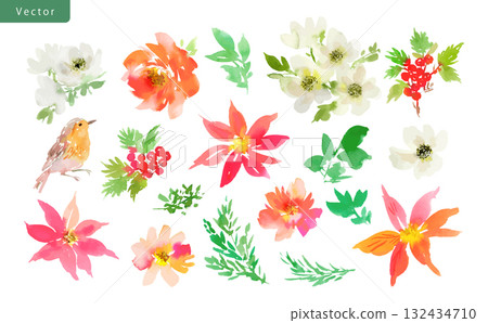 Watercolor abstract poinsettia, rose, anemone, holly and robin vector illustration set 132434710