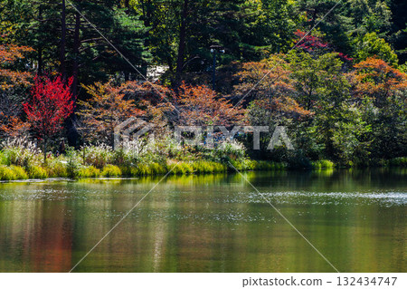 Autumn leaves at Lake Onuma in Komagane Plateau 132434747