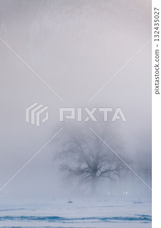 Sunset In Yosemite Sunset In Yosemite 132435027