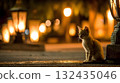 A kitten standing alone in the city at night. An emotional portrait that conveys loneliness and sadness. 132435046