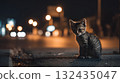 A kitten standing alone in the city at night. An emotional portrait that conveys loneliness and sadness. 132435047
