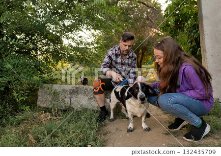 Father brushing dog while daughter offers support nearby Father brushing dog while daughter offers support nearby 132435709