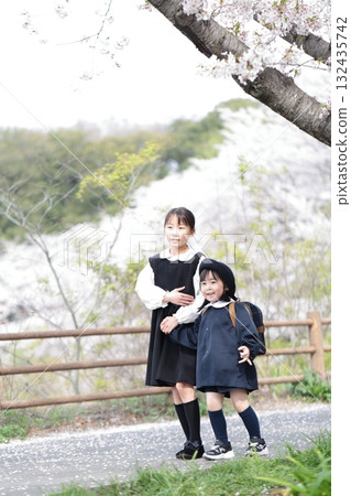 Cherry blossoms and a 3-year-old girl and her 9-year-old sister at their kindergarten entrance ceremony Cherry blossoms and a 3-year-old girl and her 9-year-old sister at their kindergarten entrance ceremony 132435742