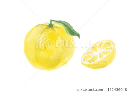 Delicious watercolor illustration of yuzu 132436048