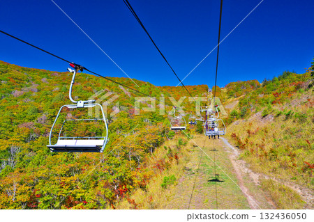 Autumn leaves at Hakuba Iwatake Mountain Resort 132436050