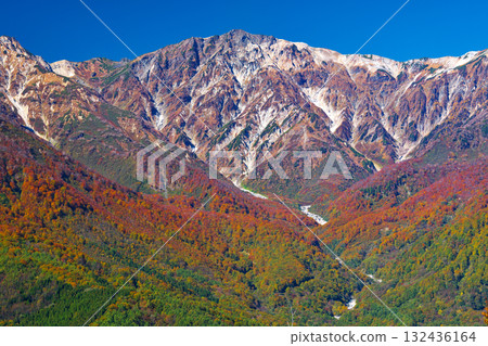 白馬岩岳度假村的秋葉 白馬岩岳度假村的秋葉 132436164