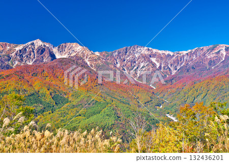 Autumn leaves at Hakuba Iwatake Mountain Resort Autumn leaves at Hakuba Iwatake Mountain Resort 132436201