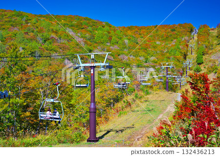 Autumn leaves at Hakuba Iwatake Mountain Resort 132436213