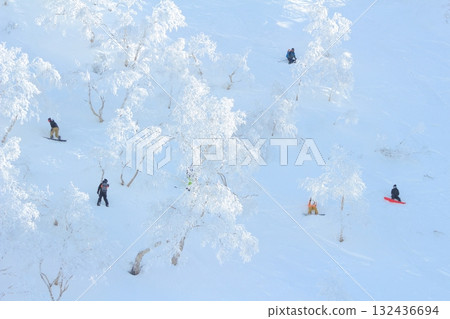 野外滑雪 132436694
