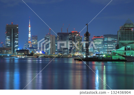 Tokyo Tower night view 132436904