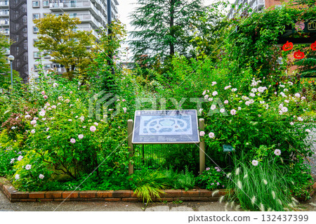 東京練馬區四季之家玫瑰園 - 秋季玫瑰季節 132437399