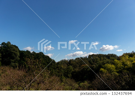 陽光明媚的秋日風景 陽光明媚的秋日風景 132437694