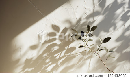 柔和的陽光透過樹木和樹葉的陰影，在白色牆壁上反射的自然光形成了抽象的對比。 132438031