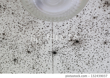 Black mold 132439037
