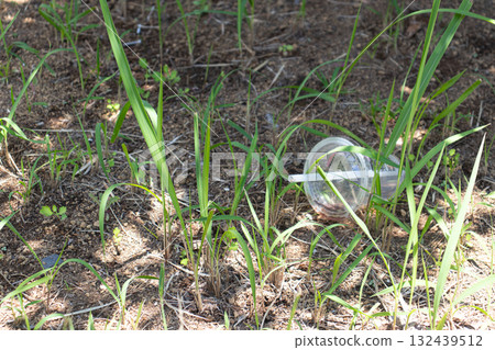 Illegal dumping of garbage 132439512