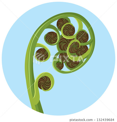 Curled Fern Frond in Minimalist Vector Style Curled Fern Frond in Minimalist Vector Style 132439684