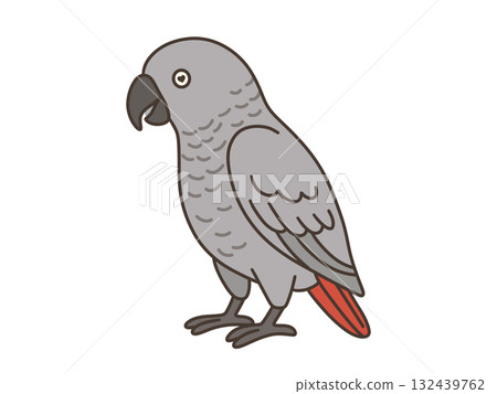 Illustration of a African grey parrot with heart-shaped eyes 132439762