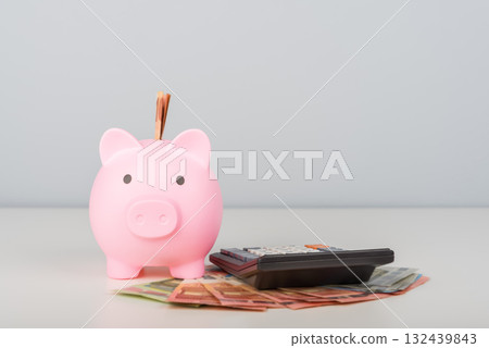 Pink piggy bank with money and a calculator Pink piggy bank with money and a calculator 132439843