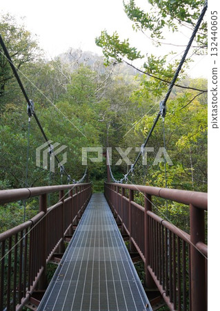 Autumn Minami-Shukanbetsu-dake hiking trail - suspension bridge Autumn Minami-Shukanbetsu-dake hiking trail - suspension bridge 132440605