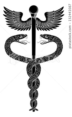 Caduceus Medical Asclepius Rod Doctor Symbol Icon Caduceus Medical Asclepius Rod Doctor Symbol Icon 132441087