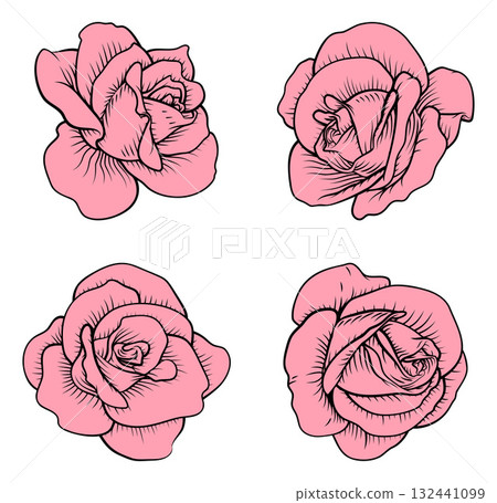Rose Flower Woodcut Engraved Etching Illustration 132441099