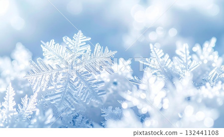 Fantastic snowflake 132441108