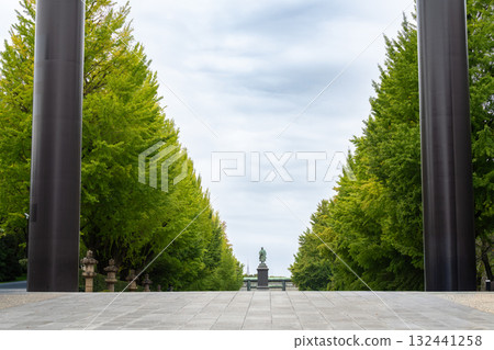 Yasukuni Shrine - Large Torii Gate and Ginkgo Trees Yasukuni Shrine - Large Torii Gate and Ginkgo Trees 132441258