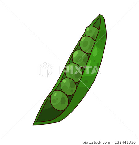 illustration of Peas illustration of Peas 132441336