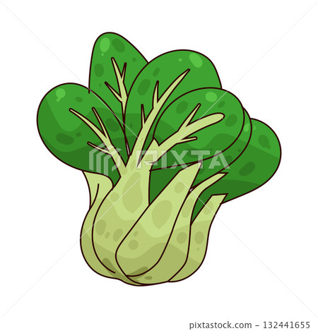 illustration of Mustard Greens 132441655