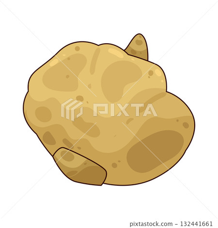 illustration of Jicama 132441661