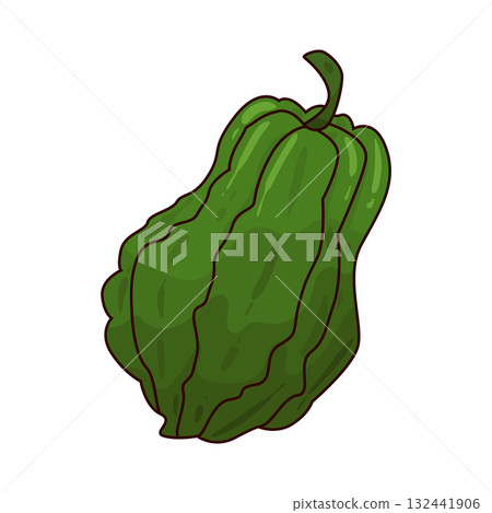 illustration of Chayote 132441906