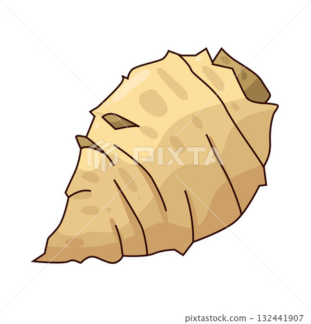 illustration of Sunchoke 132441907