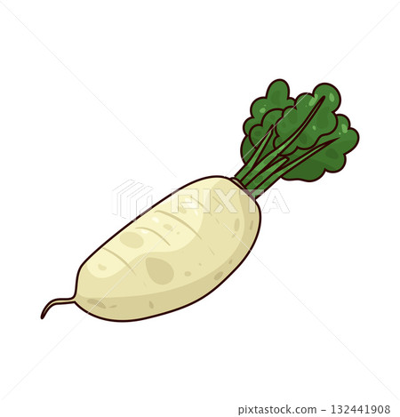 illustration of Daikon 132441908