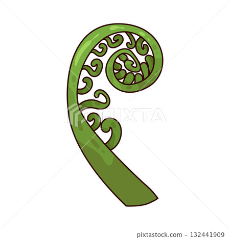 illustration of Fiddlehead illustration of Fiddlehead 132441909